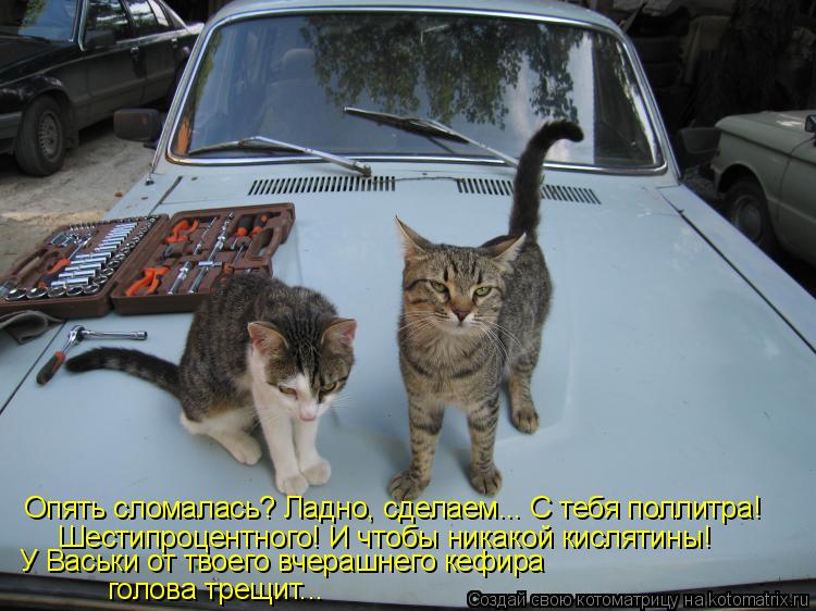 Опять сломалась? Ладно, сделаем... С тебя поллитра! Шестипроцентного! И чтобы никакой кислятины! У Ва... Котоматрица: Опять сломалась? Ладно, сделаем... С тебя поллитра! Шестипроцентного! И чтобы никакой кислятины! У Васьки от твоего вчерашнего кефира голова