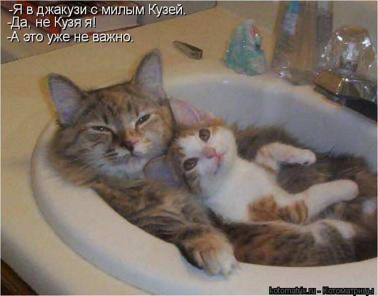 -Я в джакузи с милым Кузей. -Да, не Кузя я! -А это уже не важно.... Котоматрица: -Я в джакузи с милым Кузей. -Да, не Кузя я! -А это уже не важно.