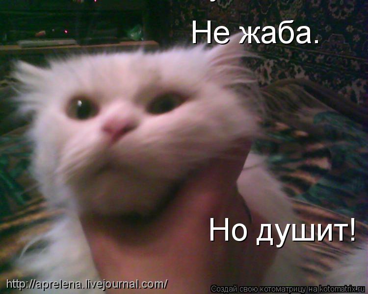 Не жаба. Но душит! Не жаба. Но душит! http://aprelena.livejournal.com/... Котоматрица: Не жаба. Но душит! Не жаба. Но душит! http://aprelena.livejournal.com/