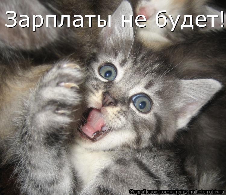 Зарплаты не будет!!!... Котоматрица: Зарплаты не будет!!!