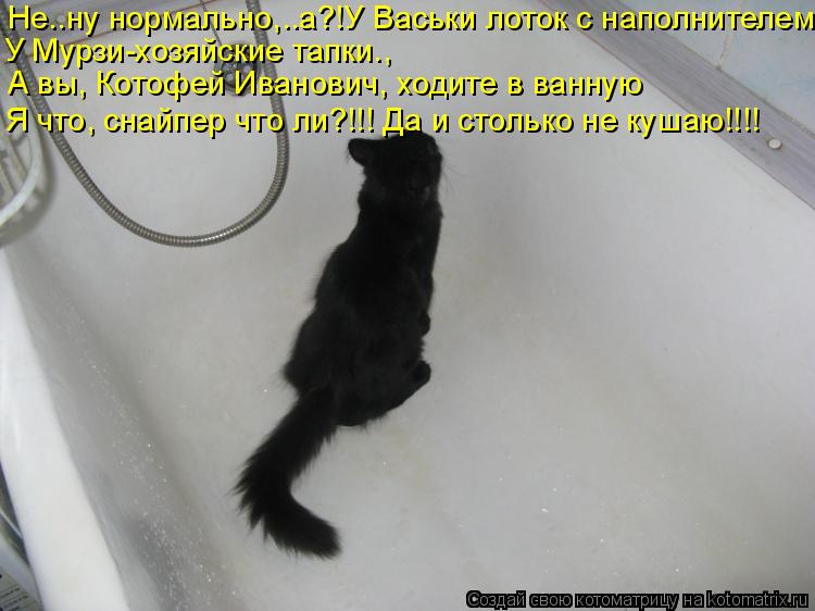 Котоматрица: Не..ну нормально,..а?!У Васьки лоток с наполнителем, У Мурзи-хозяйские тапки., А вы, Котофей Иванович, ходите в ванную Я что, снайпер что ли?!!! Да