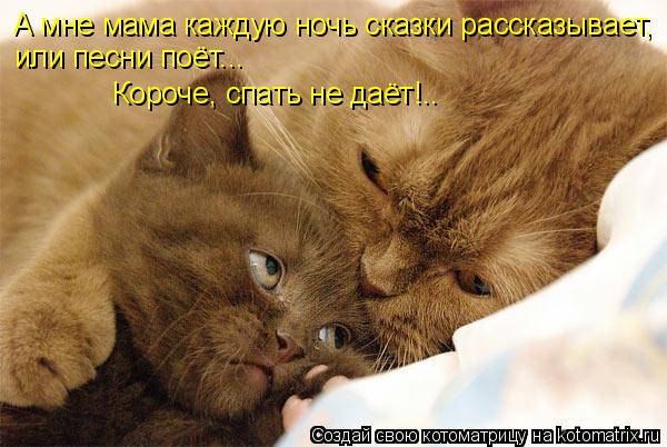 А мне мама каждую ночь сказки рассказывает, или песни поёт... Короче, спать не даёт!..... Котоматрица: А мне мама каждую ночь сказки рассказывает, или песни поёт... Короче, спать не даёт!..