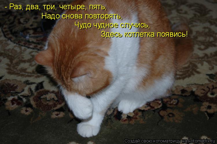 - Раз, два, три, четыре, пять, Надо снова повторять, Чудо чудное случись, Здесь котлетка появись!... Котоматрица: - Раз, два, три, четыре, пять, Надо снова повторять, Чудо чудное случись, Здесь котлетка появись!