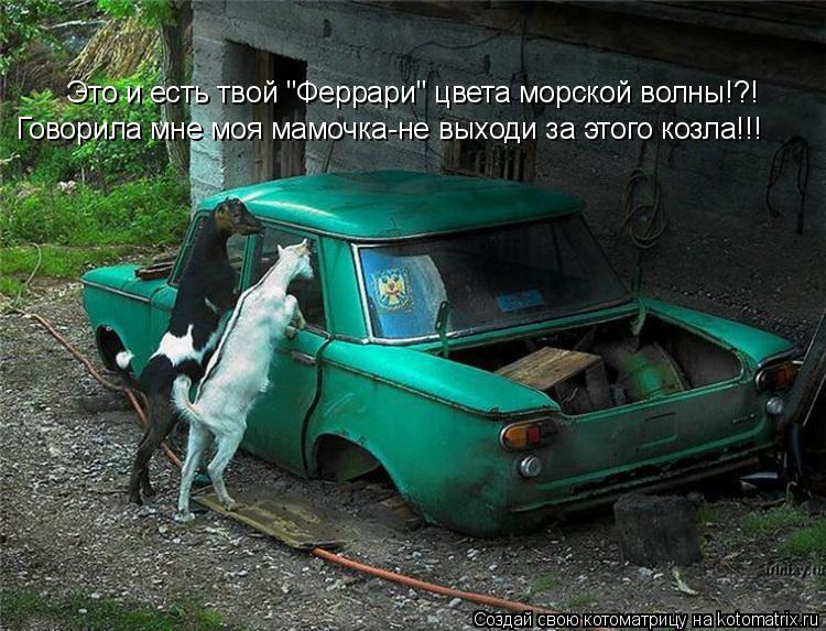 Это и есть твой "Феррари" цвета морской волны!?! Говорила мне моя мамочка-не выходи за этого козла!!!... Котоматрица: Это и есть твой "Феррари" цвета морской волны!?! Говорила мне моя мамочка-не выходи за этого козла!!!