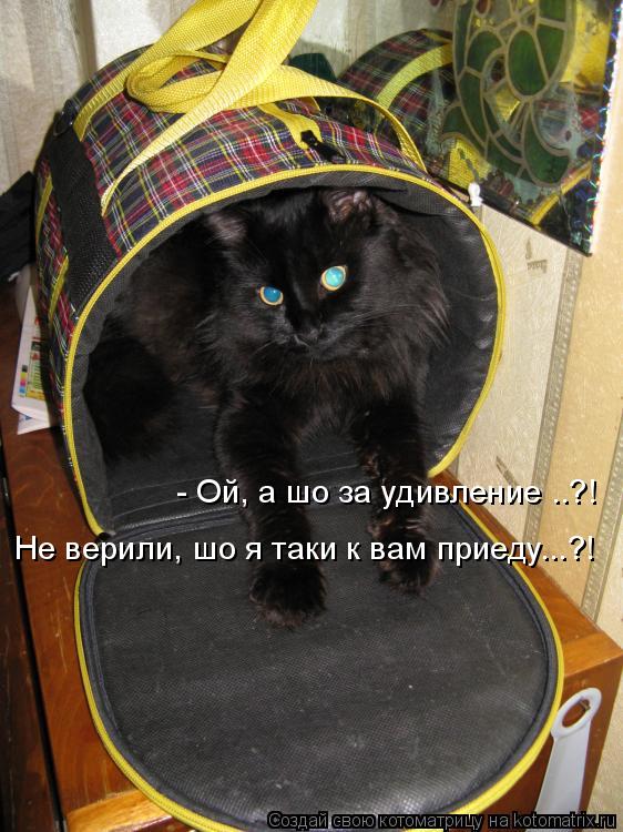 - Ой, а шо за удивление ..?! Не верили, шо я таки к вам приеду...?!... Котоматрица: - Ой, а шо за удивление ..?! Не верили, шо я таки к вам приеду...?!