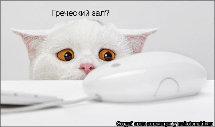 Греческий зал?... Котоматрица: Греческий зал?