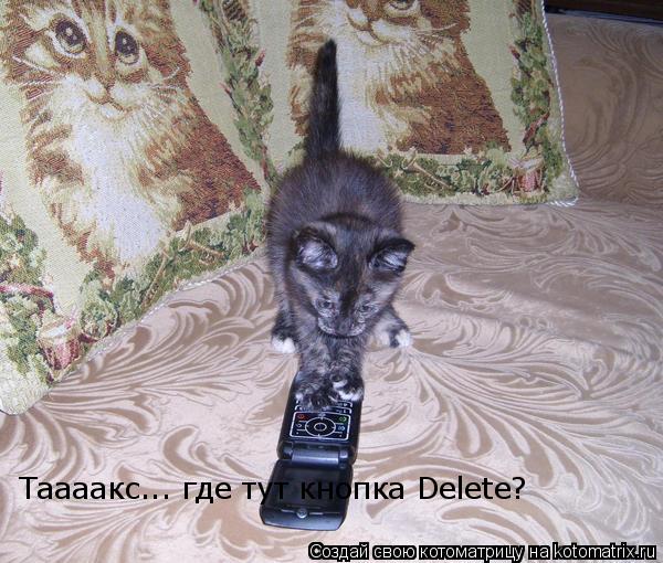 Таааакс... где тут кнопка Delete?... Котоматрица: Таааакс... где тут кнопка Delete?