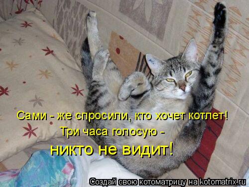 Сами - же спросили, кто хочет котлет! Три часа голосую - никто не видит!... Котоматрица: Сами - же спросили, кто хочет котлет! Три часа голосую - никто не видит!