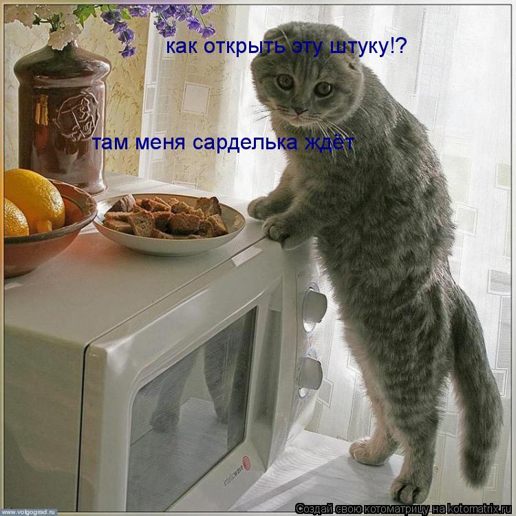 как открыть эту штуку!? там меня сарделька ждёт... Котоматрица: как открыть эту штуку!? там меня сарделька ждёт