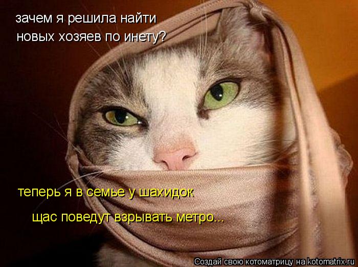 зачем я решила найти новых хозяев по инету? теперь я в семье у шахидок щас поведут взрывать метро...... Котоматрица: зачем я решила найти новых хозяев по инету? теперь я в семье у шахидок щас поведут взрывать метро...