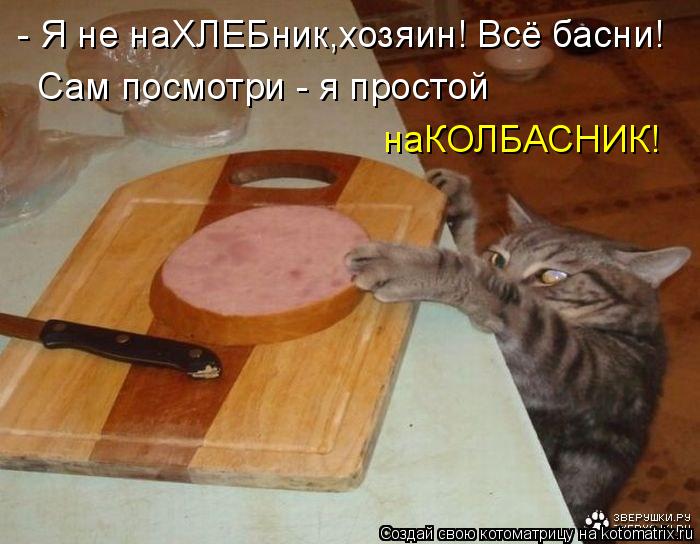 Котоматрица: - Я не наХЛЕБник,хозяин! Всё басни! Сам посмотри - я простой наКОЛБАСНИК!