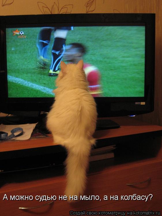 Котоматрица: А можно судью не на мыло, а на колбасу?