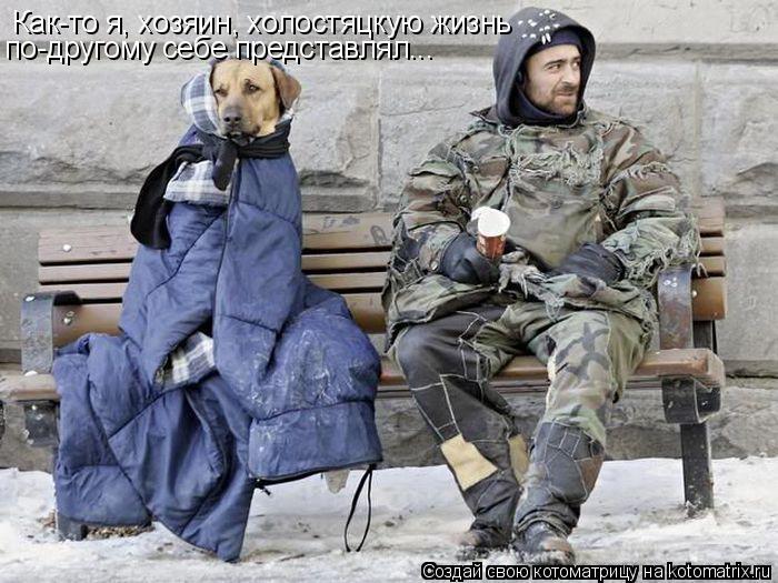 Как-то я, хозяин, холостяцкую жизнь по-другому себе представлял...... Котоматрица: Как-то я, хозяин, холостяцкую жизнь по-другому себе представлял...