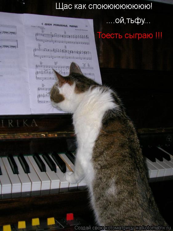 Щас как споюююююююю! ....ой,тьфу... Тоесть сыграю !!!... Котоматрица: Щас как споюююююююю! ....ой,тьфу... Тоесть сыграю !!!