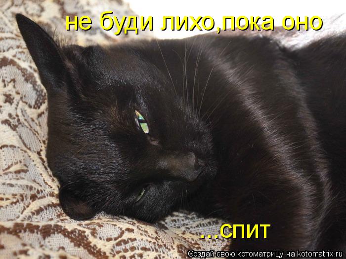 не буди лихо,пока оно ...спит... Котоматрица: не буди лихо,пока оно ...спит