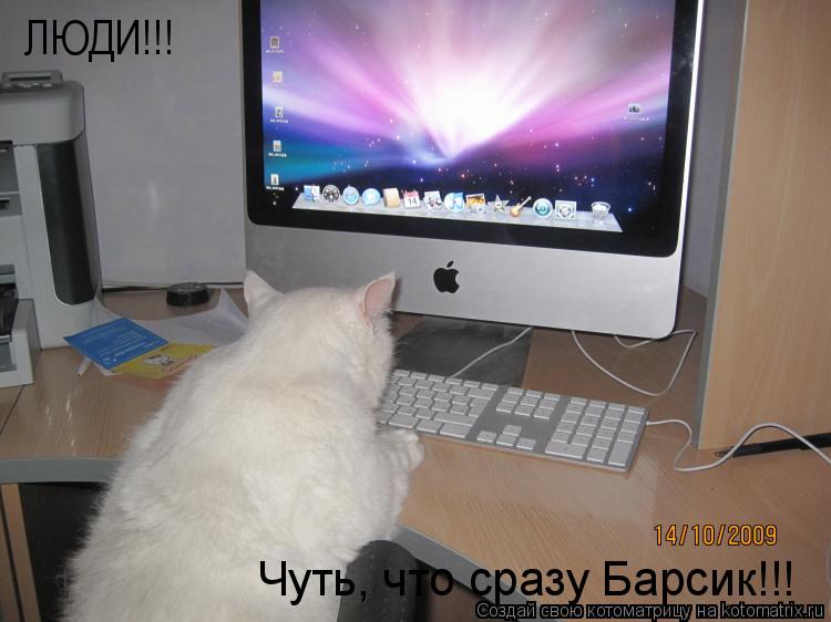 ЛЮДИ!!! Чуть, что сразу Барсик!!!... Котоматрица: ЛЮДИ!!! Чуть, что сразу Барсик!!!