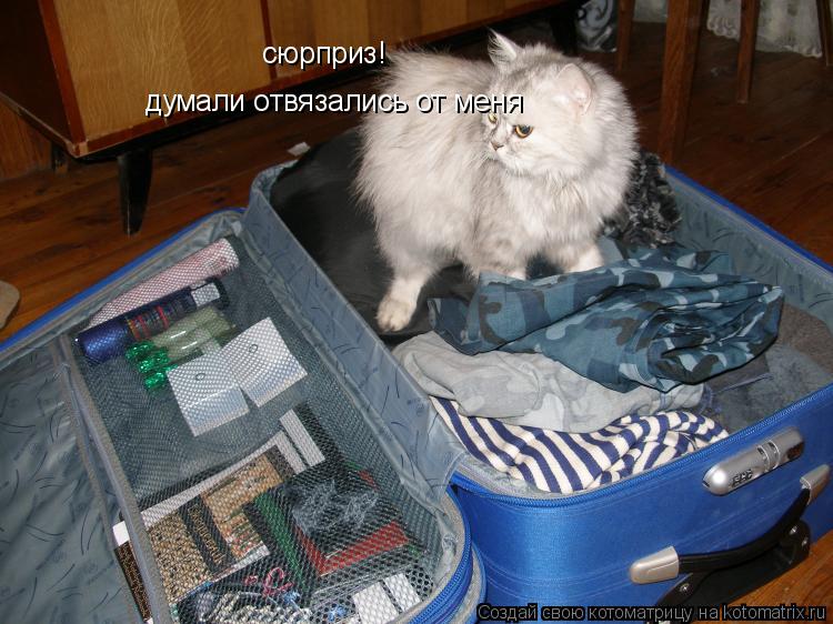 сюрприз! думали отвязались от меня... Котоматрица: сюрприз! думали отвязались от меня