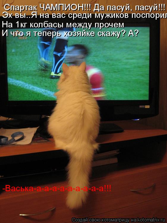 Спартак ЧАМПИОН!!! Да пасуй, пасуй!!! Эх вы..Я на вас среди мужиков поспорил На 1кг колбасы между про... Котоматрица: Спартак ЧАМПИОН!!! Да пасуй, пасуй!!! Эх вы..Я на вас среди мужиков поспорил На 1кг колбасы между прочем И что я теперь хозяйке скажу? А? -Васька-