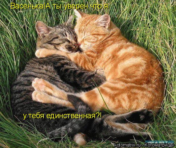 Васенька!А ты уверен что я у тебя единственная?!... Котоматрица: Васенька!А ты уверен что я у тебя единственная?!