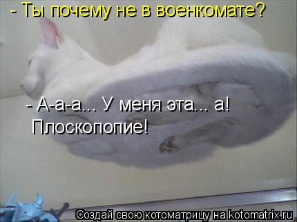 - Ты почему не в военкомате? - А-а-а... У меня эта... а! Плоскопопие!... Котоматрица: - Ты почему не в военкомате? - А-а-а... У меня эта... а! Плоскопопие!