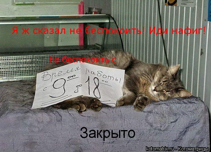 Не беспокоить с Закрыто Я ж сказал не беспокоить! Иди нафиг!... Котоматрица: Не беспокоить с Закрыто Я ж сказал не беспокоить! Иди нафиг!