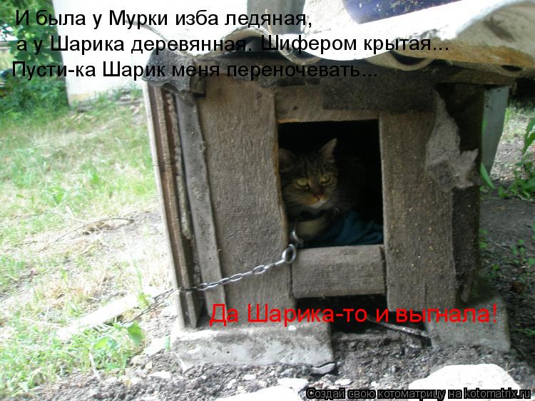 И была у Мурки изба ледяная, а у Шарика деревянная. Шифером крытая... Пусти-ка Шарик меня переночеват... Котоматрица: И была у Мурки изба ледяная, а у Шарика деревянная. Шифером крытая... Пусти-ка Шарик меня переночевать... Да Шарика-то и выгнала!