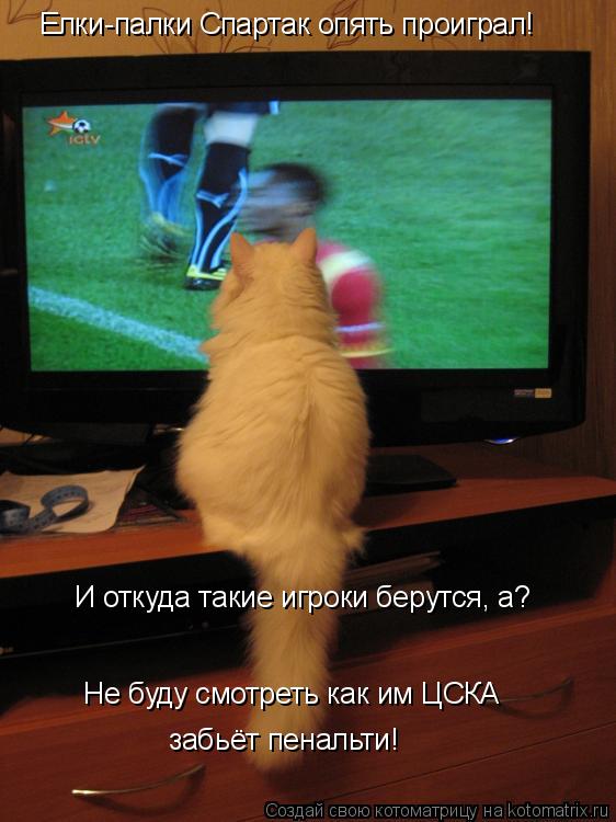 Елки-палки Спартак опять проиграл! И откуда такие игроки берутся, а? Не буду смотреть как им ЦСКА заб... Котоматрица: Елки-палки Спартак опять проиграл! И откуда такие игроки берутся, а? Не буду смотреть как им ЦСКА забьёт пенальти!