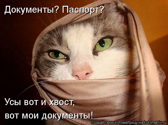 Документы? Паспорт? Усы вот и хвост, вот мои документы!... Котоматрица: Документы? Паспорт? Усы вот и хвост, вот мои документы!