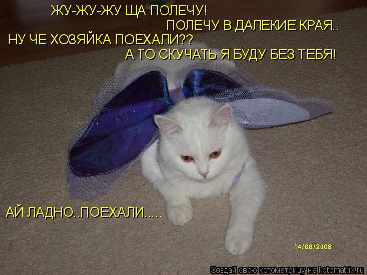 ЖУ-ЖУ-ЖУ ЩА ПОЛЕЧУ! ПОЛЕЧУ В ДАЛЕКИЕ КРАЯ.. НУ ЧЕ ХОЗЯЙКА ПОЕХАЛИ?? А ТО СКУЧАТЬ Я БУДУ БЕЗ ТЕБЯ! АЙ ... Котоматрица: ЖУ-ЖУ-ЖУ ЩА ПОЛЕЧУ! ПОЛЕЧУ В ДАЛЕКИЕ КРАЯ.. НУ ЧЕ ХОЗЯЙКА ПОЕХАЛИ?? А ТО СКУЧАТЬ Я БУДУ БЕЗ ТЕБЯ! АЙ ЛАДНО..ПОЕХАЛИ.....