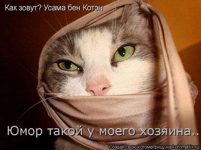 Как зовут? Усама бен Котэн Юмор такой у моего хозяина...... Котоматрица: Как зовут? Усама бен Котэн Юмор такой у моего хозяина...