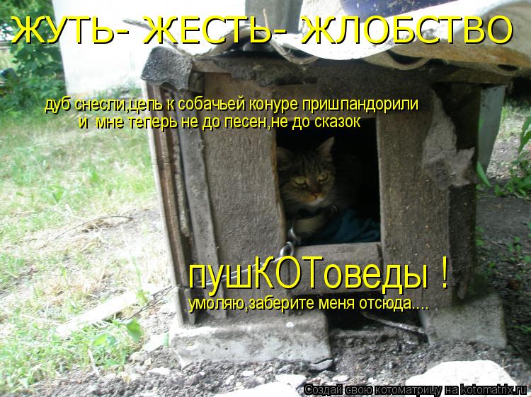 ЖУТЬ- ЖЕСТЬ- ЖЛОБСТВО дуб снесли,цепь к собачьей конуре пришпандорили и мне теперь не до песен,не ... Котоматрица: ЖУТЬ- ЖЕСТЬ- ЖЛОБСТВО дуб снесли,цепь к собачьей конуре пришпандорили и мне теперь не до песен,не до сказок пушКОТоведы ! умоляю,заберите