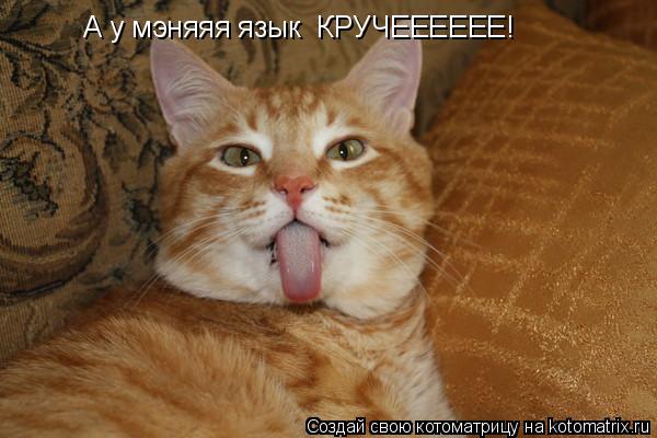 А у мэняяя язык КРУЧЕЕЕЕЕЕ!... Котоматрица: А у мэняяя язык КРУЧЕЕЕЕЕЕ!