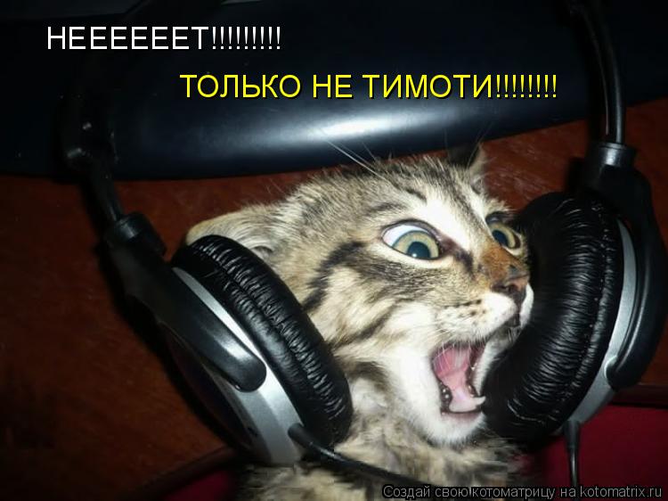 НЕЕЕЕЕЕТ!!!!!!!!! ТОЛЬКО НЕ ТИМОТИ!!!!!!!!... Котоматрица: НЕЕЕЕЕЕТ!!!!!!!!! ТОЛЬКО НЕ ТИМОТИ!!!!!!!!