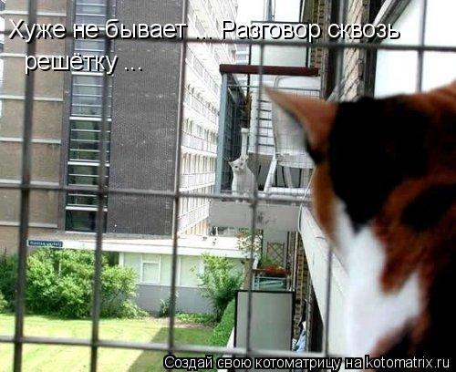Хуже не бывает ... Разговор сквозь решётку ...... Котоматрица: Хуже не бывает ... Разговор сквозь решётку ...