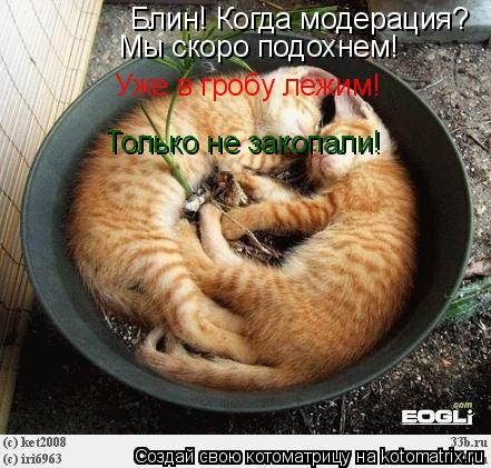 Блин! Когда модерация? Мы скоро подохнем! Уже в гробу лежим! Только не закопали!... Котоматрица: Блин! Когда модерация? Мы скоро подохнем! Уже в гробу лежим! Только не закопали!