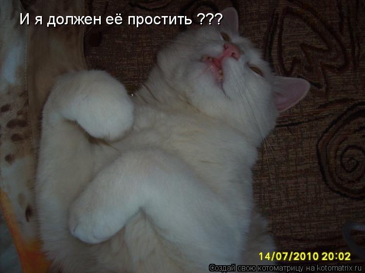 И я должен её простить ???... Котоматрица: И я должен её простить ???