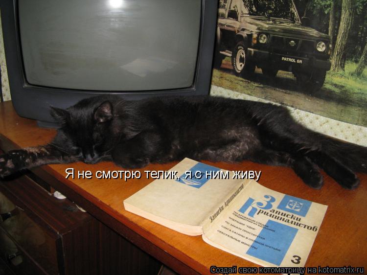 Я не смотрю телик, я с ним живу... Котоматрица: Я не смотрю телик, я с ним живу