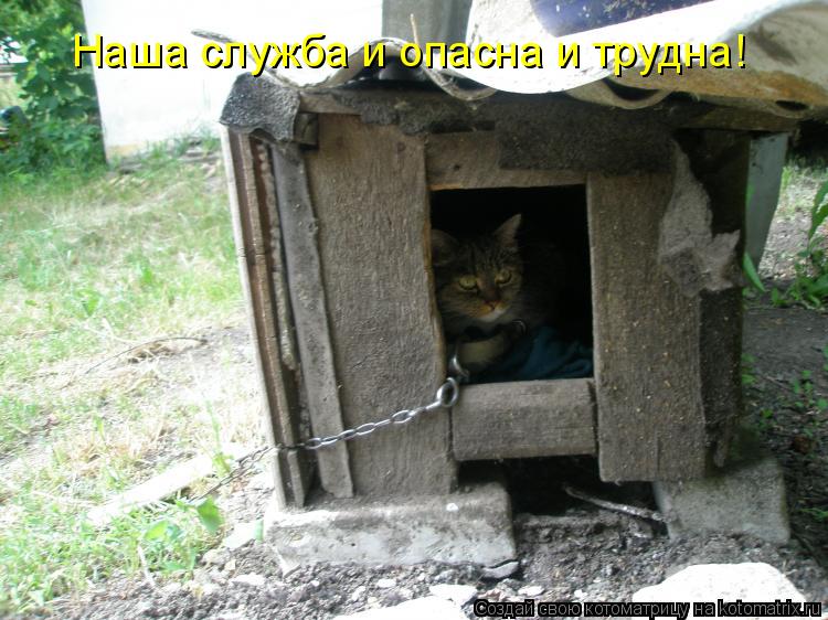 Наша служба и опасна и трудна!... Котоматрица: Наша служба и опасна и трудна!