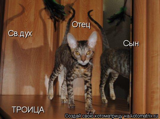 Отец Сын Св.дух ТРОИЦА... Котоматрица: Отец Сын Св.дух ТРОИЦА