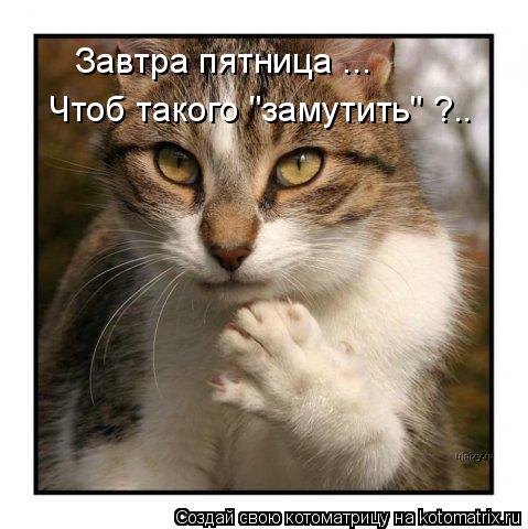 Завтра пятница ... Чтоб такого "замутить" ?..... Котоматрица: Завтра пятница ... Чтоб такого "замутить" ?..