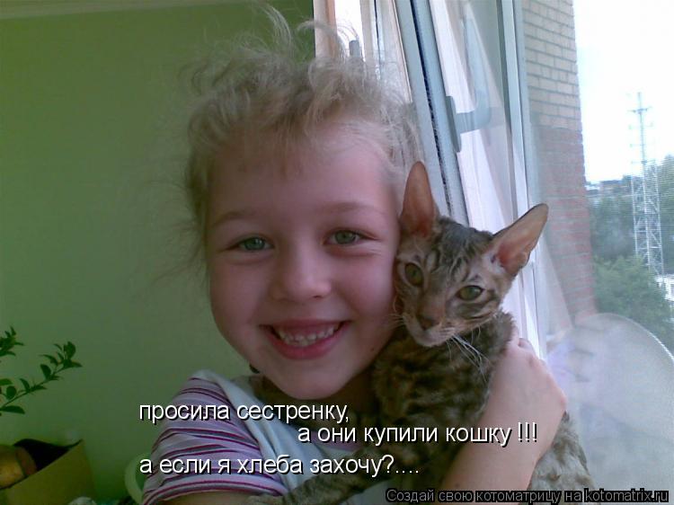 просила сестренку, а они купили кошку а если я хлеба захочу?.... !!!... Котоматрица: просила сестренку, а они купили кошку а если я хлеба захочу?.... !!!
