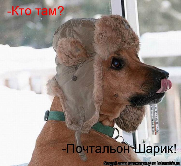-Кто там? -Почтальон Шарик!... Котоматрица: -Кто там? -Почтальон Шарик!