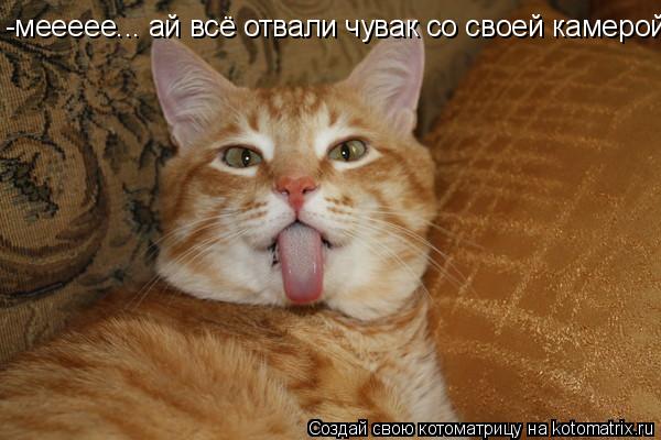 -меееее... ай всё отвали чувак -меееее... ай всё отвали чувак со своей камерой... Котоматрица: -меееее... ай всё отвали чувак -меееее... ай всё отвали чувак со своей камерой