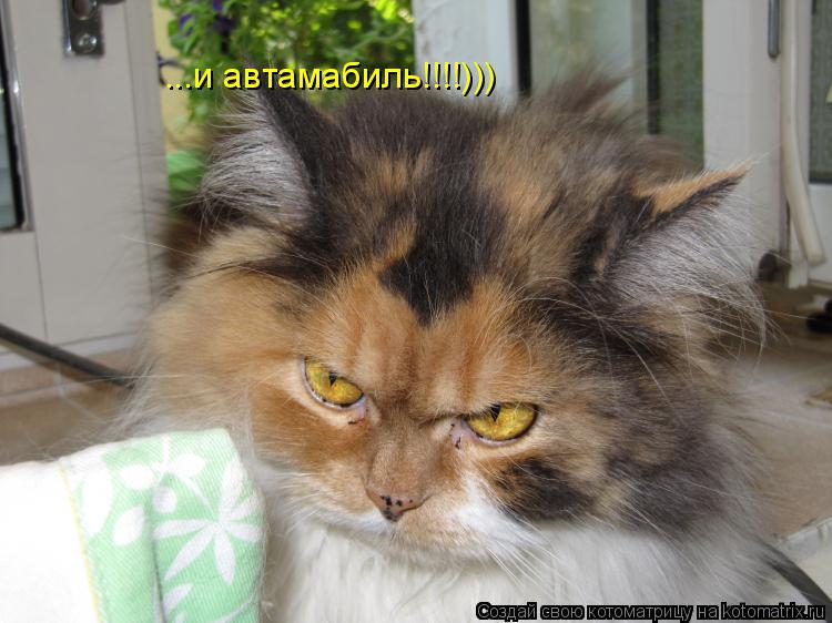 ...и автамабиль!!!!)))... Котоматрица: ...и автамабиль!!!!)))