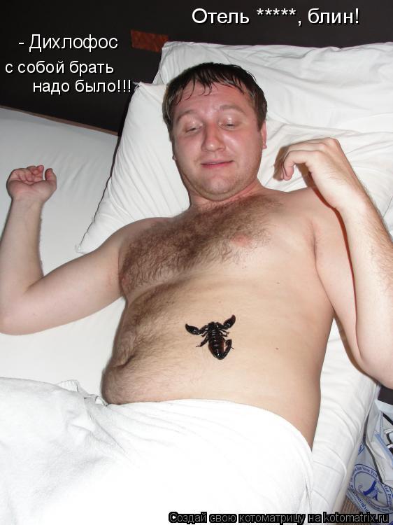 с собой брать надо было!!! Отель *****, блин! - Дихлофос... Котоматрица: с собой брать надо было!!! Отель *****, блин! - Дихлофос