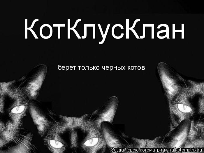 КотКлусКлан берет только черных котов... Котоматрица: КотКлусКлан берет только черных котов