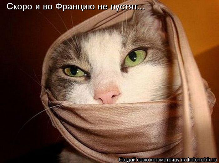 Скоро и во Францию не пустят...... Котоматрица: Скоро и во Францию не пустят...