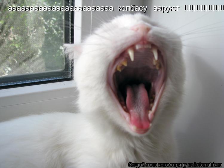 аааааааааааааааааааааааа колбасу варуют !!!!!!!!!!!!!!!!!!!!!!!!!!!!!!!!!!!!!!!!!!!!!!!... Котоматрица: аааааааааааааааааааааааа колбасу варуют !!!!!!!!!!!!!!!!!!!!!!!!!!!!!!!!!!!!!!!!!!!!!!!
