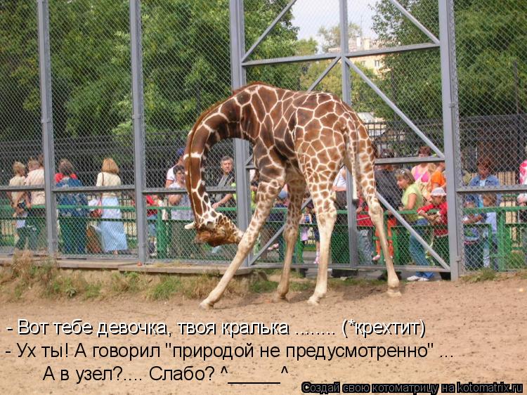 - Вот тебе девочка, твоя кралька ........ (*крехтит) - Ух ты! А говорил "природой не предусмотренно" ... Котоматрица: - Вот тебе девочка, твоя кралька ........ (*крехтит) - Ух ты! А говорил "природой не предусмотренно" ... А в узел?.... Слабо? ^_____^