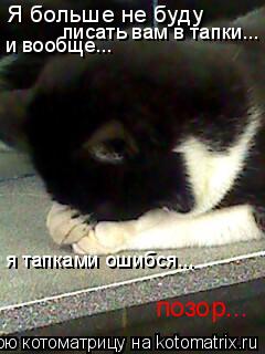 Я больше не буду писать вам в тапки... и вообще... я тапками ошибся... позор...... Котоматрица: Я больше не буду писать вам в тапки... и вообще... я тапками ошибся... позор...